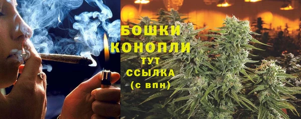 ГАЛЛЮЦИНОГЕННЫЕ ГРИБЫ Алзамай