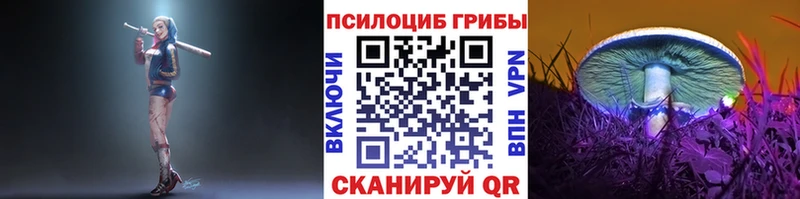 Галлюциногенные грибы Magic Shrooms  KRAKEN онион  Котельники  купить  